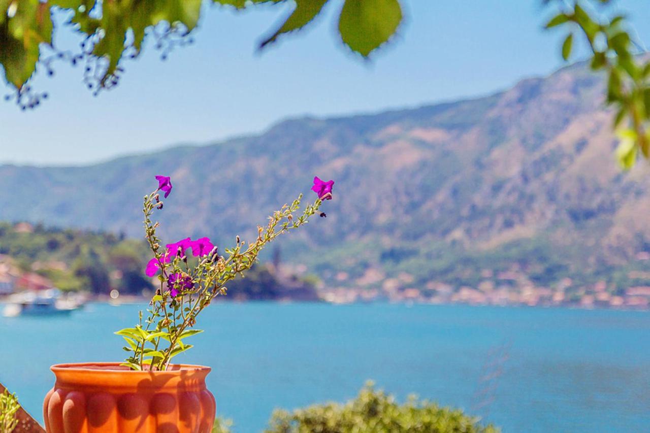 Villa Donkovic コトル エクステリア 写真
