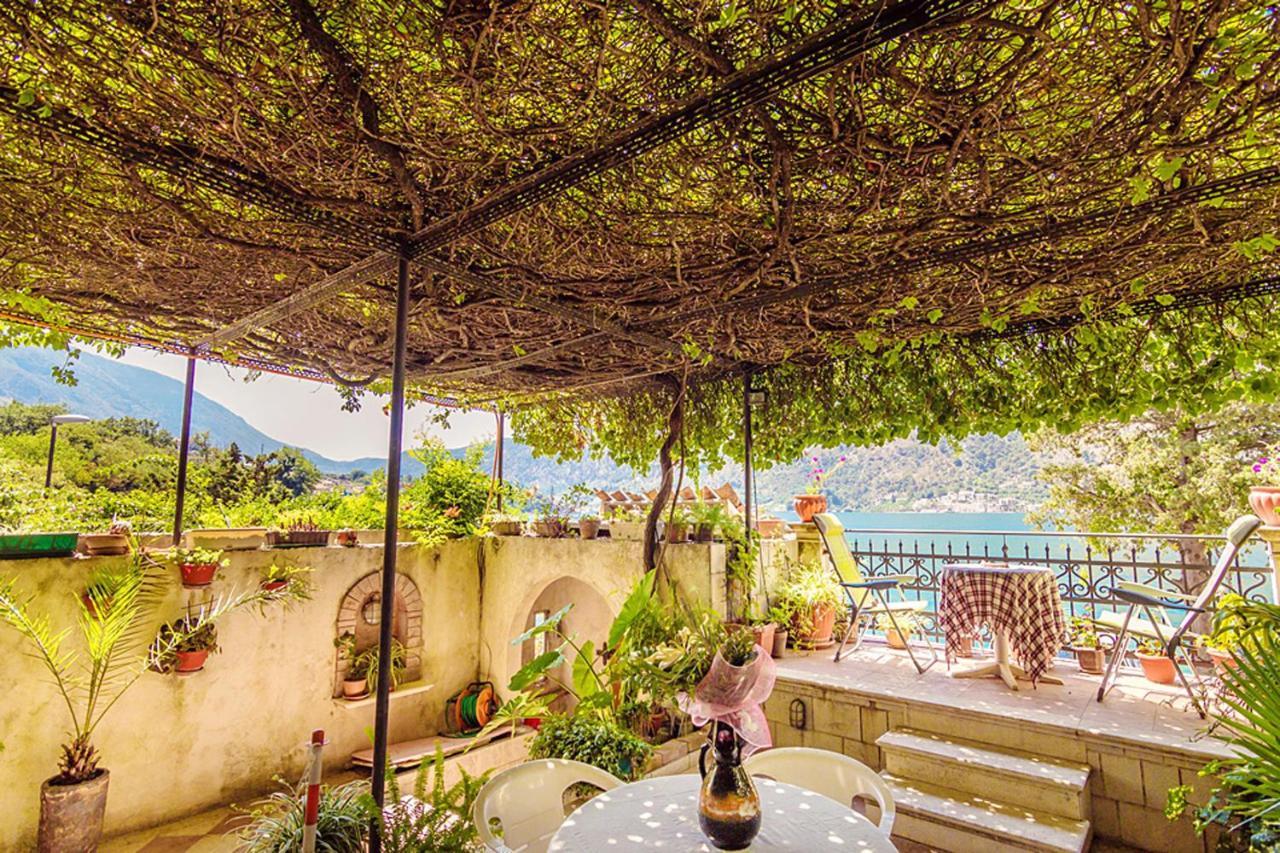 Villa Donkovic コトル エクステリア 写真